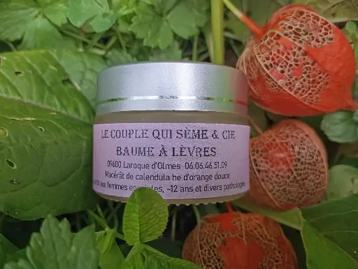 Baume à lèvres au beurre de karité et calendula 